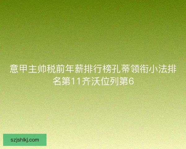 意甲主帅税前年薪排行榜孔蒂领衔小法排名第11齐沃位列第6