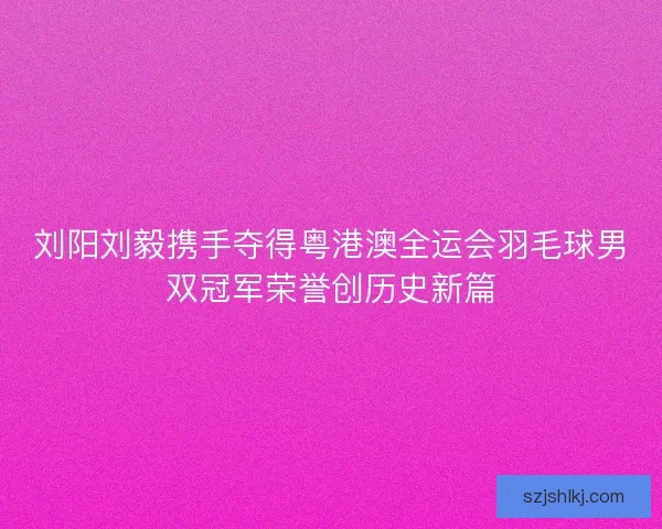 刘阳刘毅携手夺得粤港澳全运会羽毛球男双冠军荣誉创历史新篇