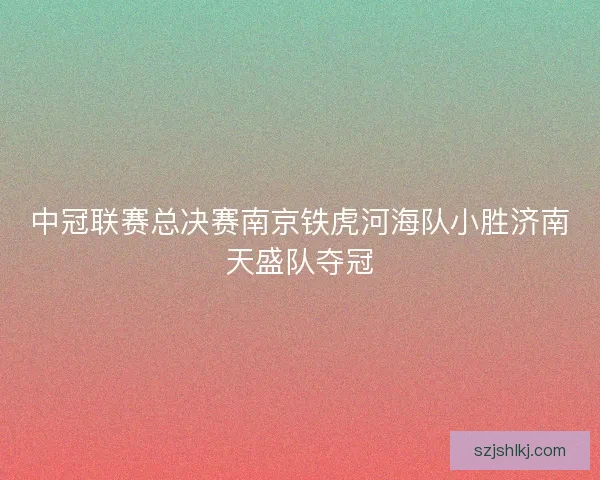 中冠联赛总决赛南京铁虎河海队小胜济南天盛队夺冠 中冠联赛总决赛南京铁虎河海队小胜济南天盛队夺冠