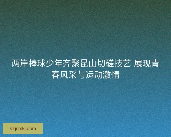 两岸棒球少年齐聚昆山切磋技艺 展现青春风采与运动激情